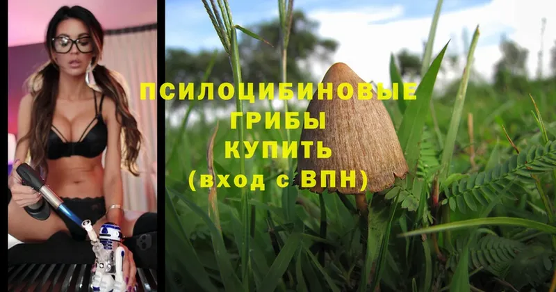 Псилоцибиновые грибы Magic Shrooms  blacksprut зеркало  Алексин 